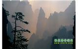 張家界國(guó)家森林公園、寶峰湖/黃龍洞、鳳凰古城、三峽八日游